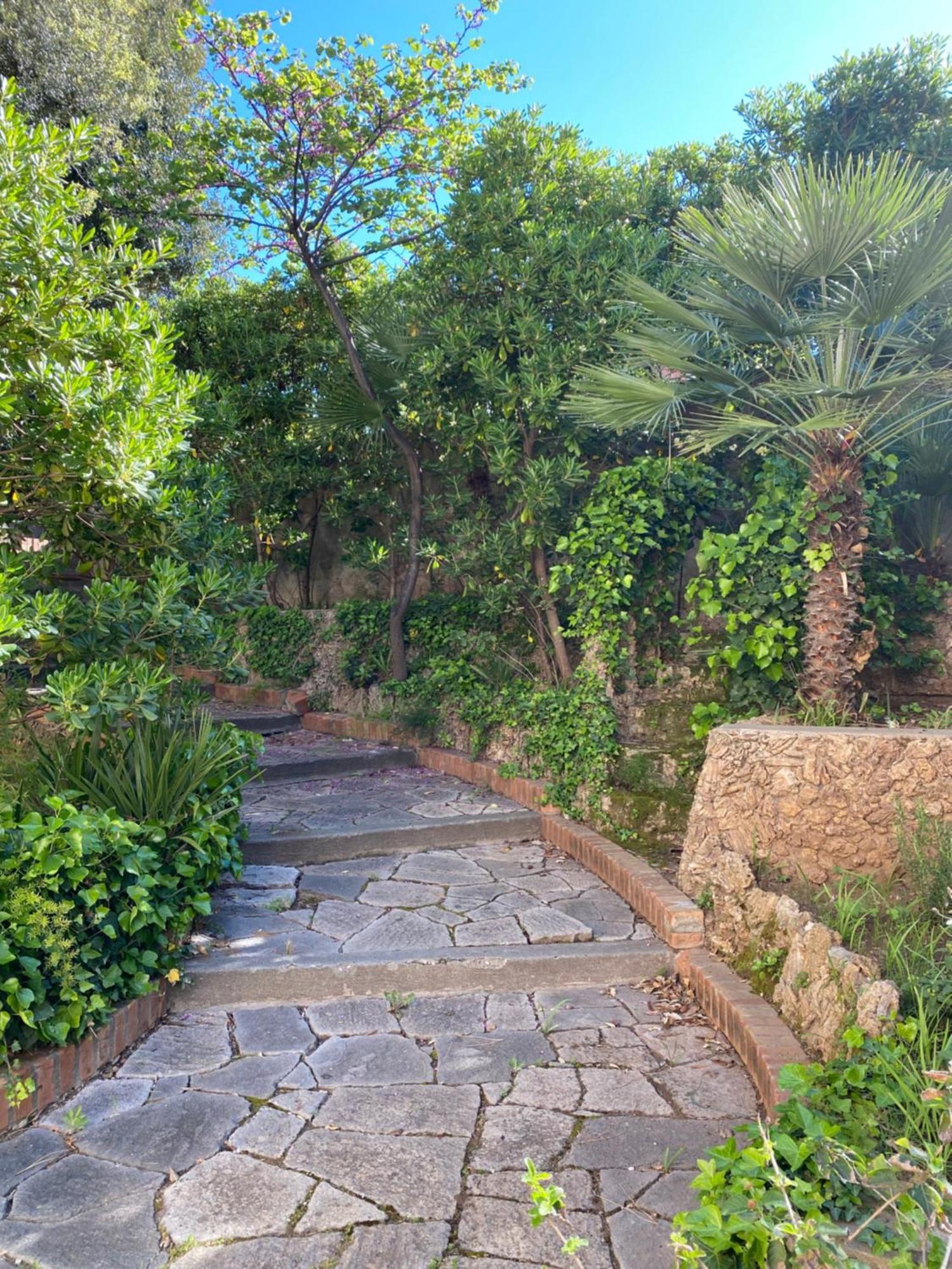 Villa Il Boschetto ซานวินเชนโซ ภายนอก รูปภาพ