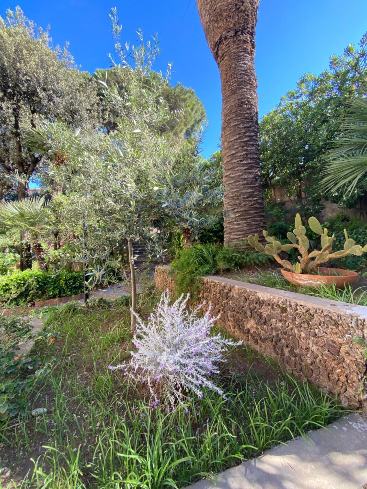 Villa Il Boschetto ซานวินเชนโซ ภายนอก รูปภาพ